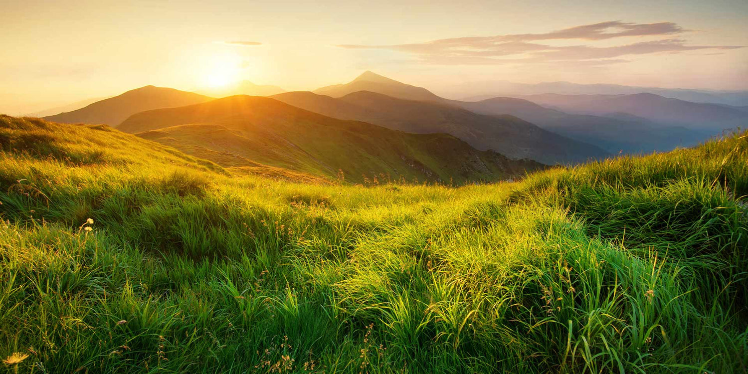 dōTERRA™ sun mindennapos ásványi fényvédő és hidratálókrém arcra benefits doterra
