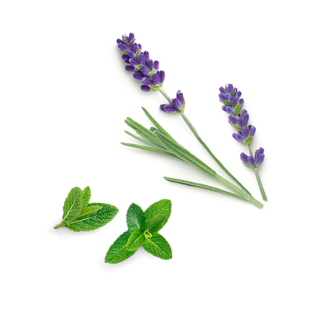 dōTERRA Rescuer™ extra info doterra
