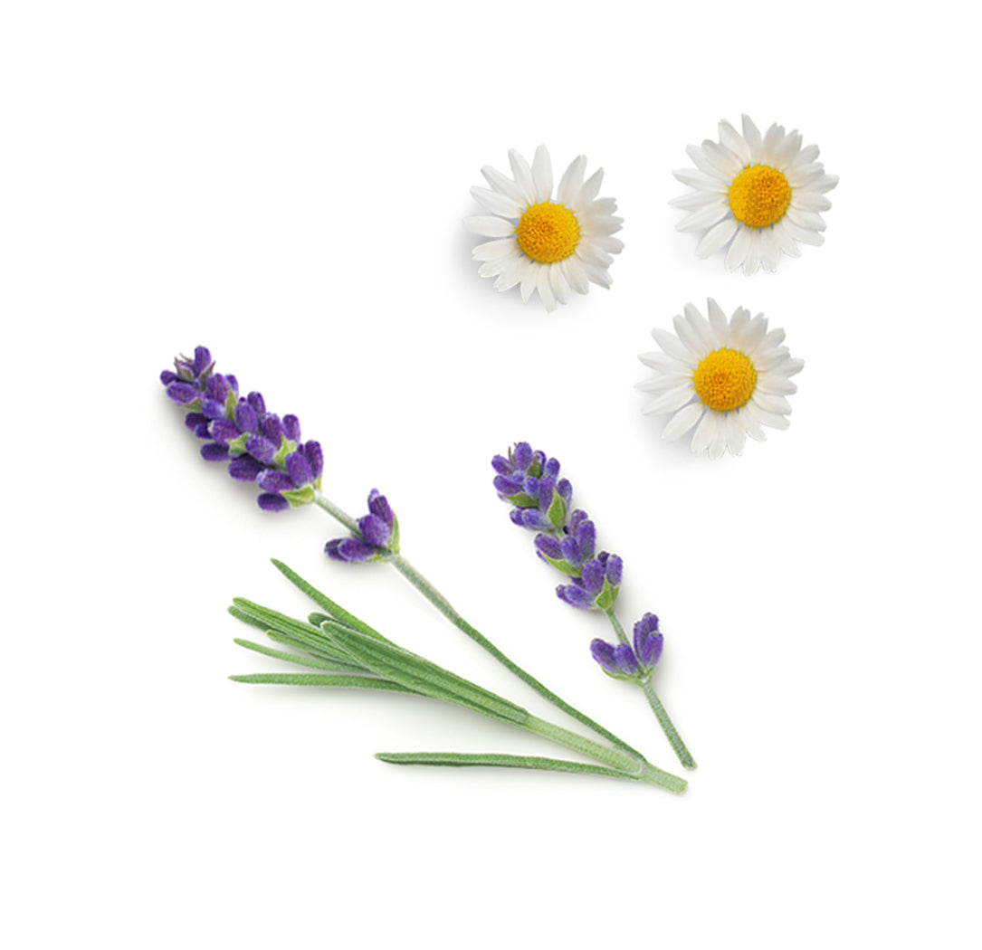 dōTERRA Calmer™ extra info doterra