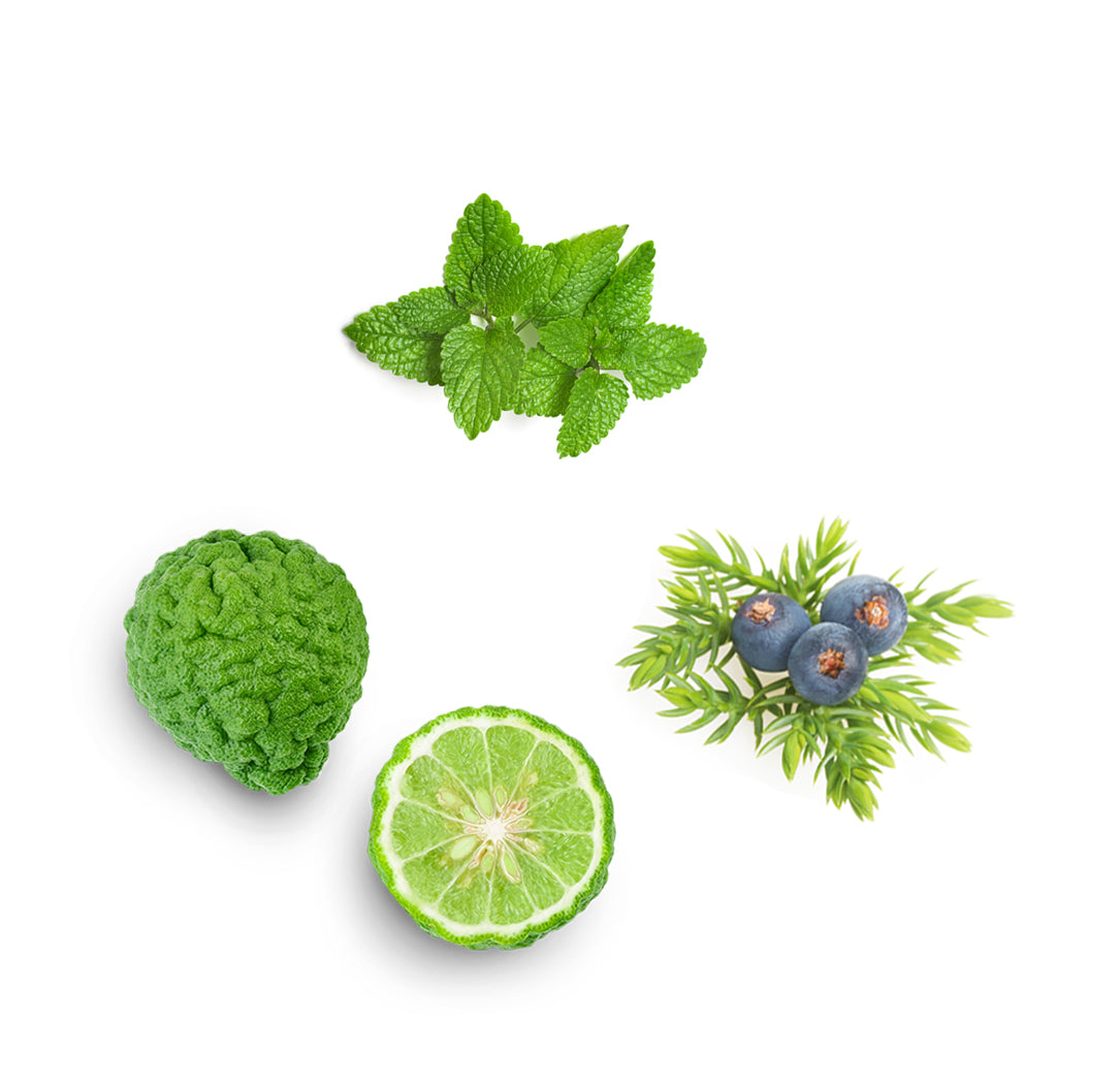 Élénkítő gél extra info doterra