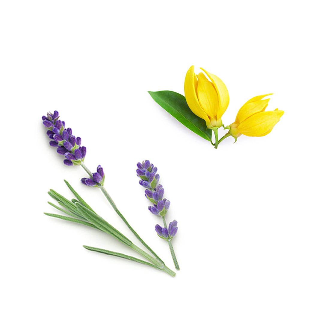 Pórus összehúzó tonizáló extra info doterra