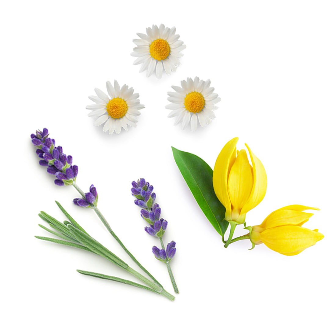 dōTERRA Serenity™ extra info doterra