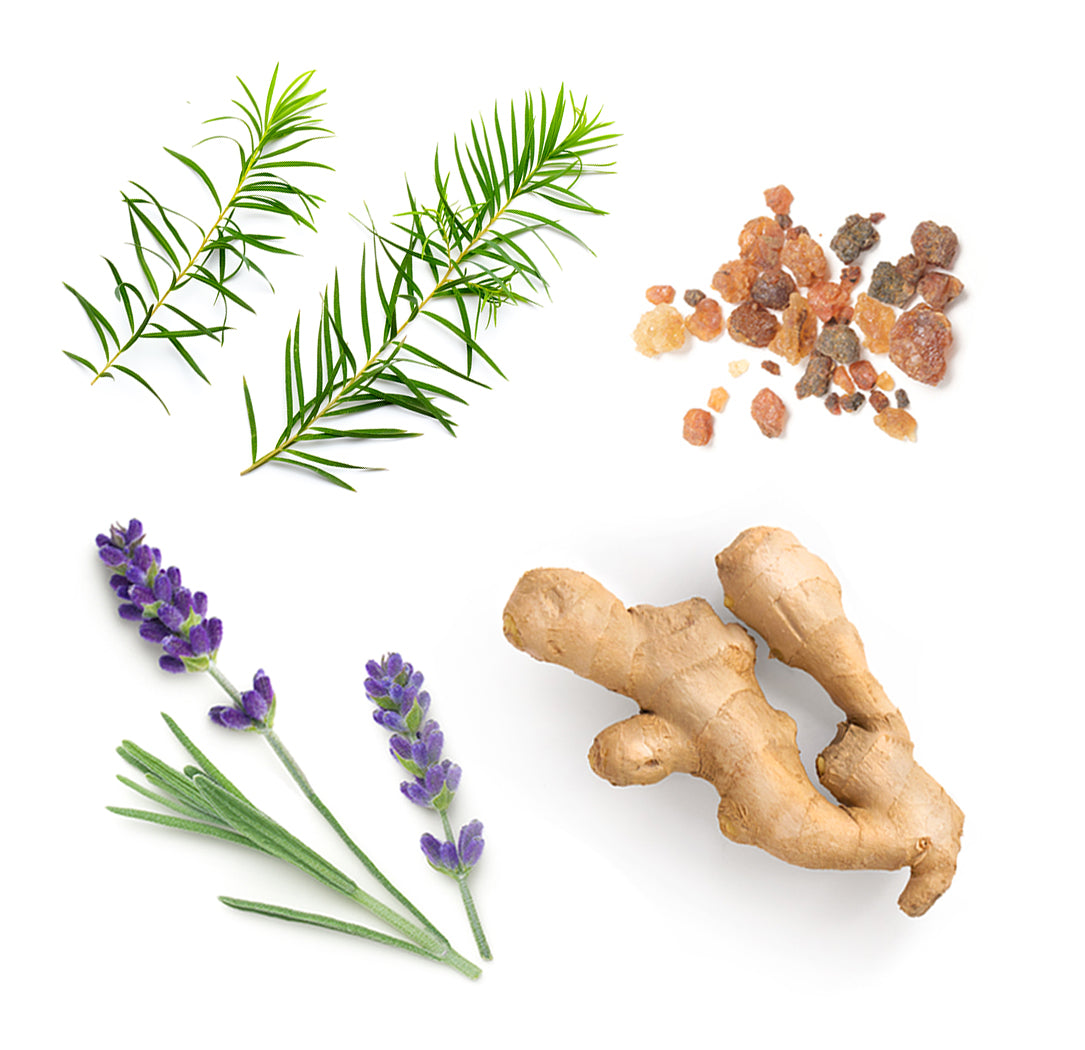 Correct-X™ extra info doterra