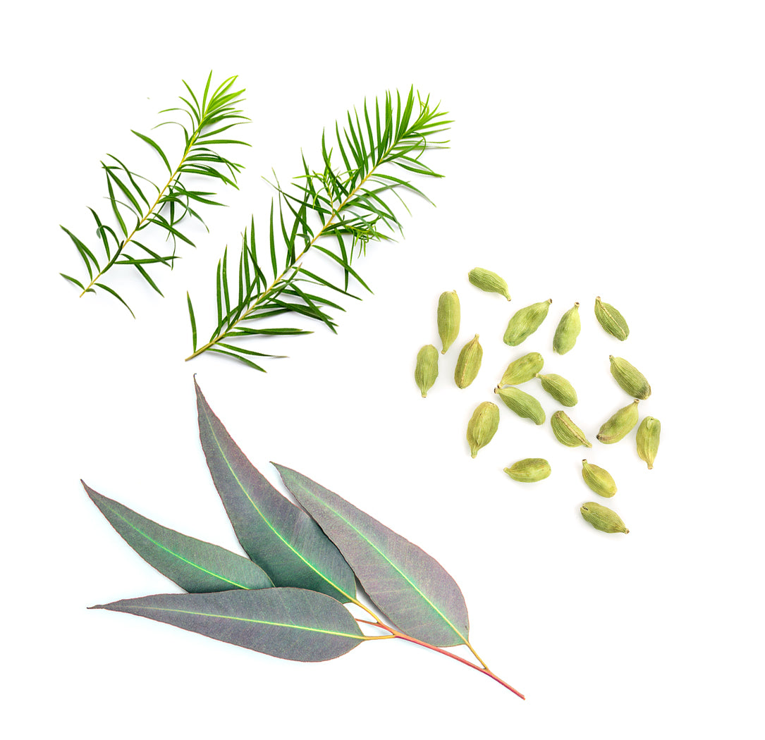 dōTERRA Air™ cukorka extra info doterra