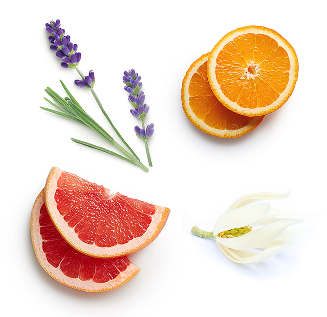 dōTERRA abōde™ habzó kézmosó koncentrátum dōTERRA Citrus Bloom™ keverékkel extra info doterra