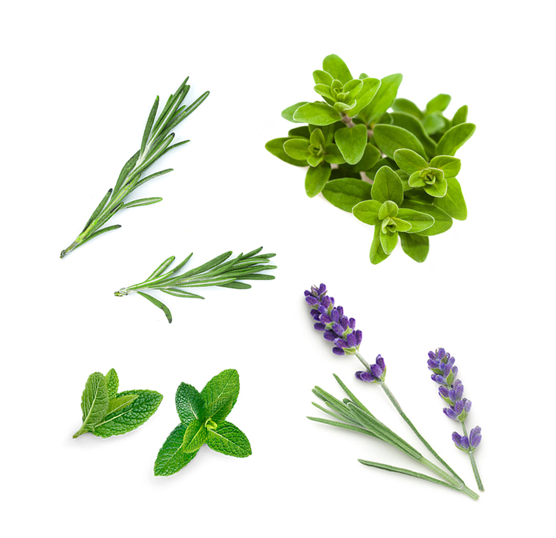 dōTERRA Salon Essentials gyökértől hajvégig hajápoló szérum extra info doterra