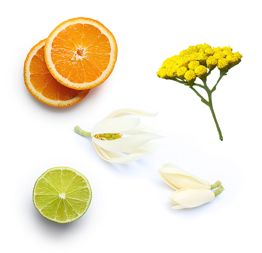 dōTERRA™ öblítés nélküli kondicionáló extra info doterra