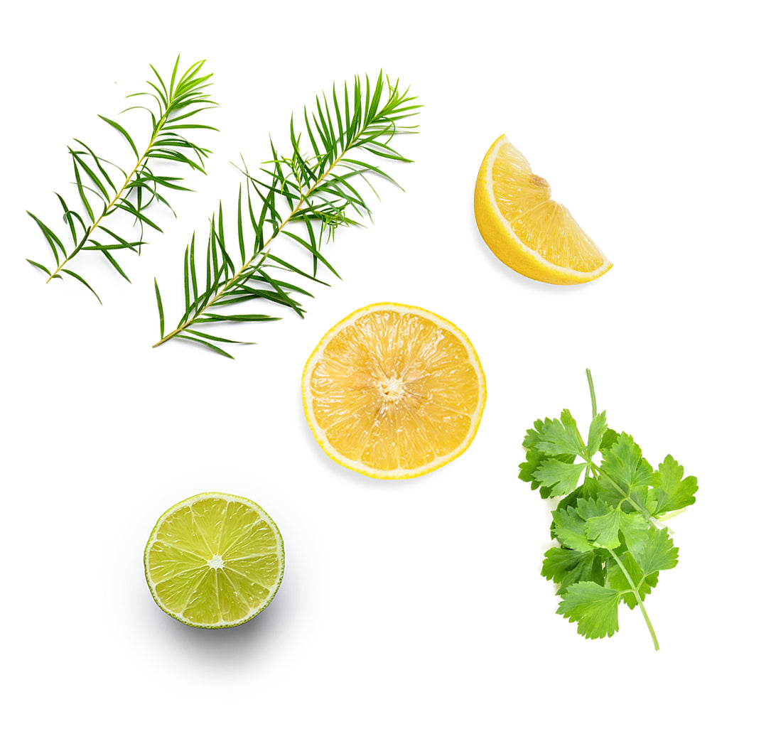 Purify™ extra info doterra