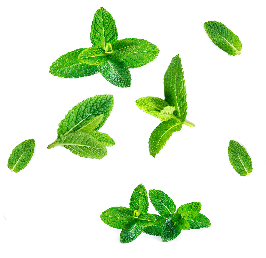 SuperMint™ gyöngyöcske extra info doterra