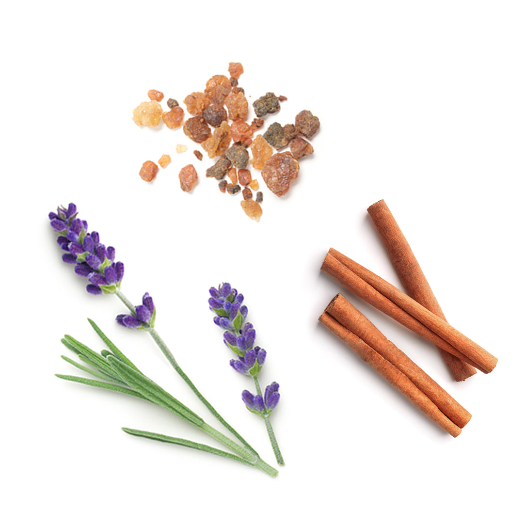 dōTERRA Anchor™ extra info doterra