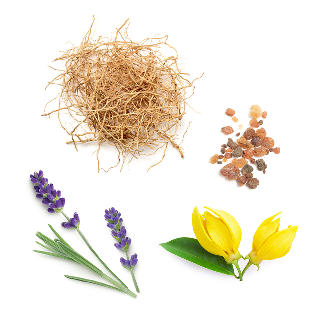 dōTERRA Peace™ extra info doterra
