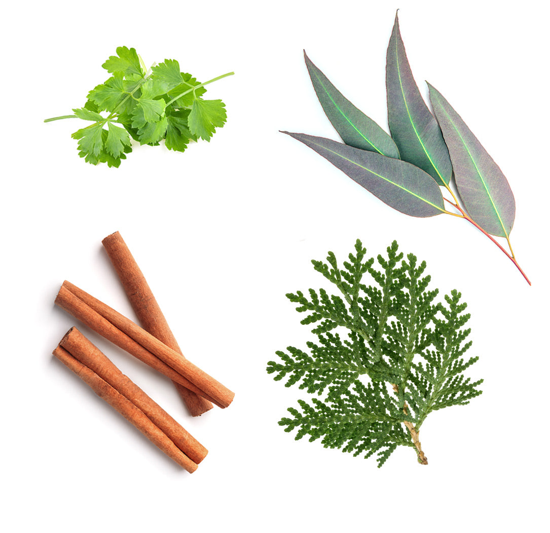 dōTERRA abōde™ extra info doterra