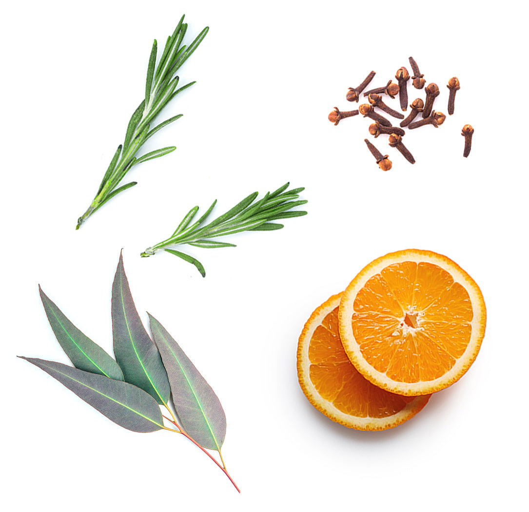 On Guard™ törlőkendő extra info doterra