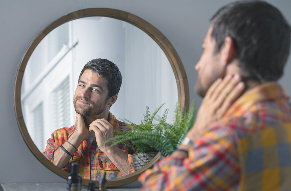 Orvosi citromfű extra info doterra