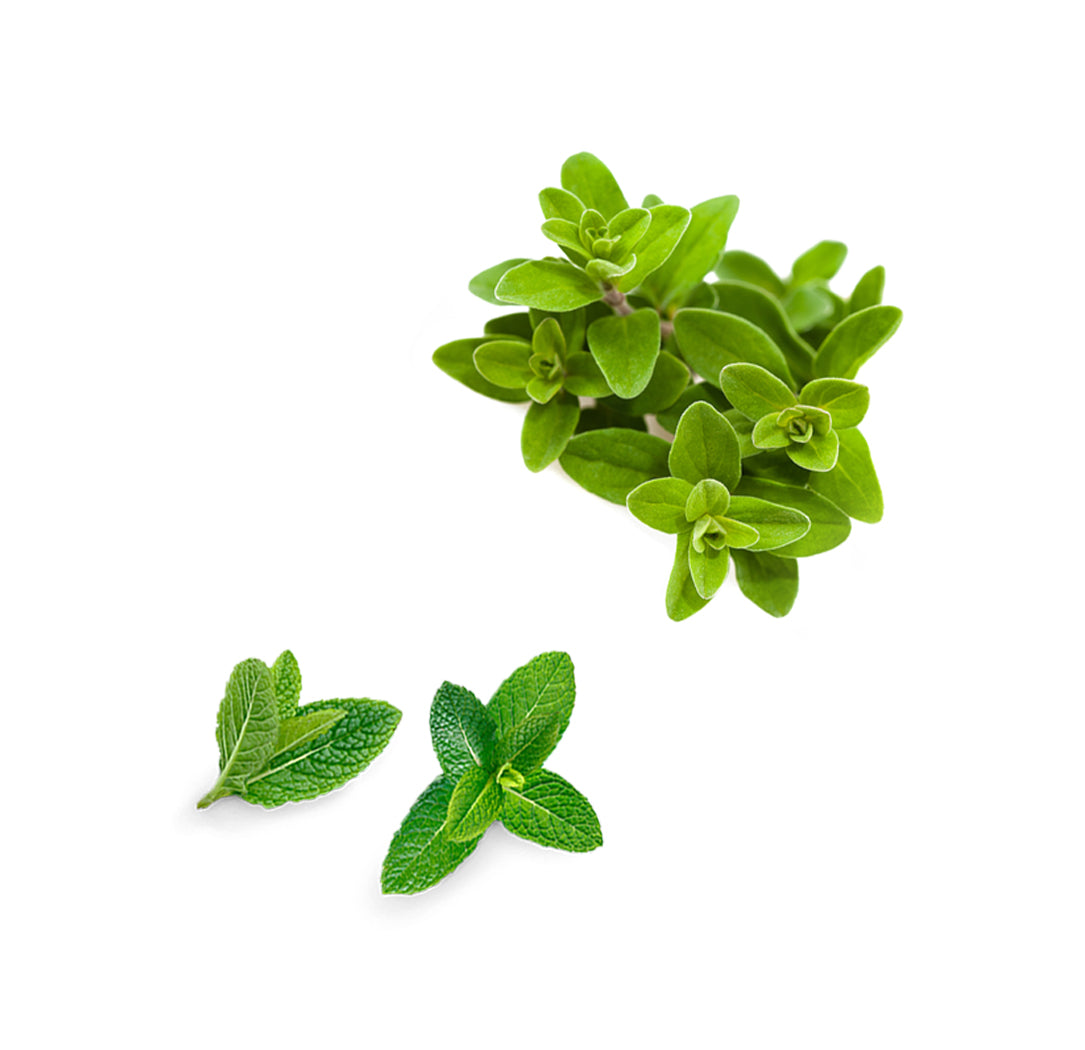 Ajakbalzsam – Gyógynövényes extra info doterra
