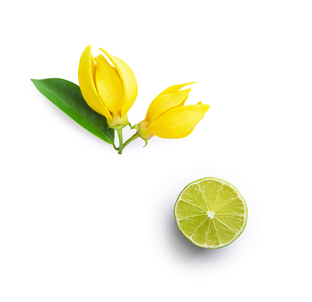 Ajakbalzsam – Trópusi extra info doterra