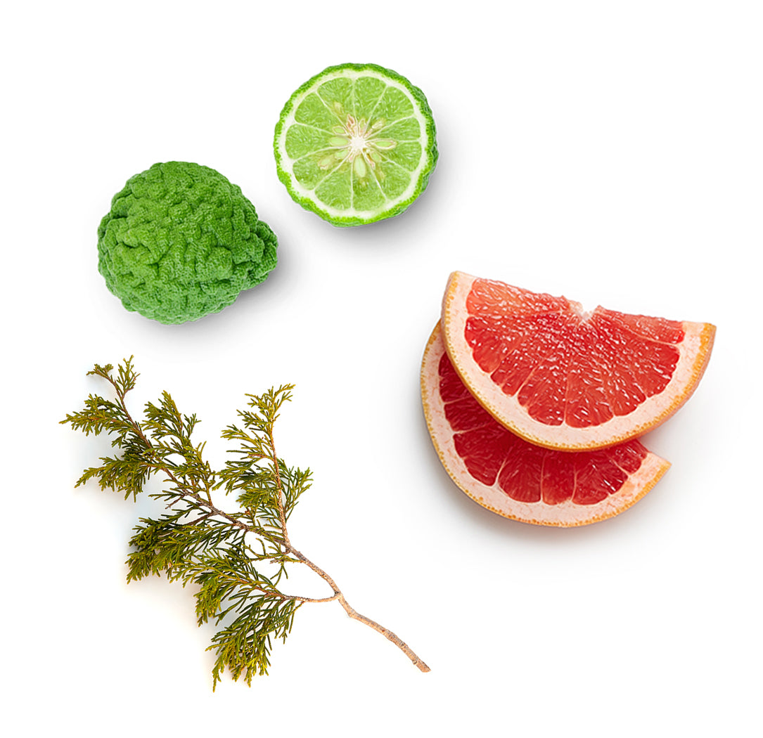 Frissítő tusfürdő extra info doterra