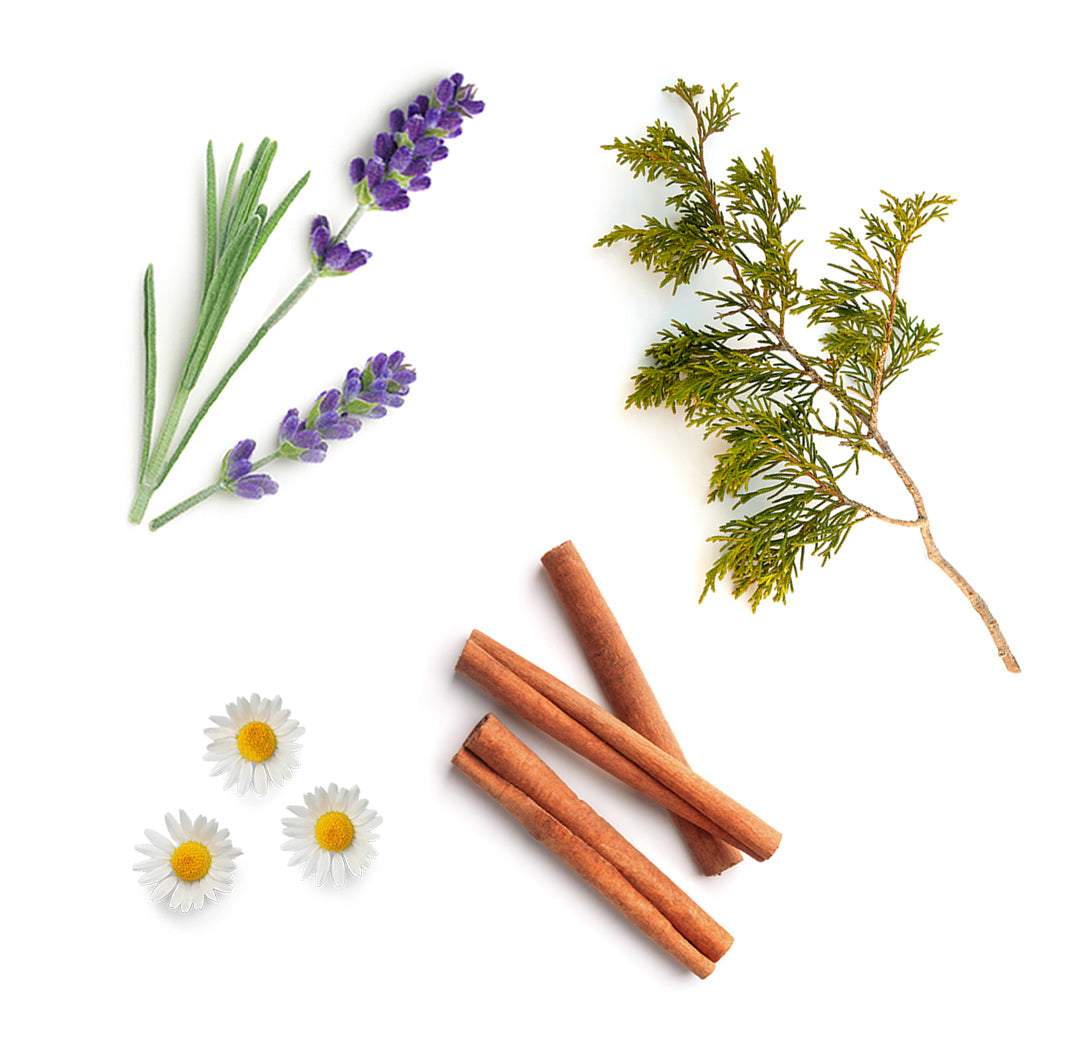 dōTERRA Serenity™ szappan extra info doterra