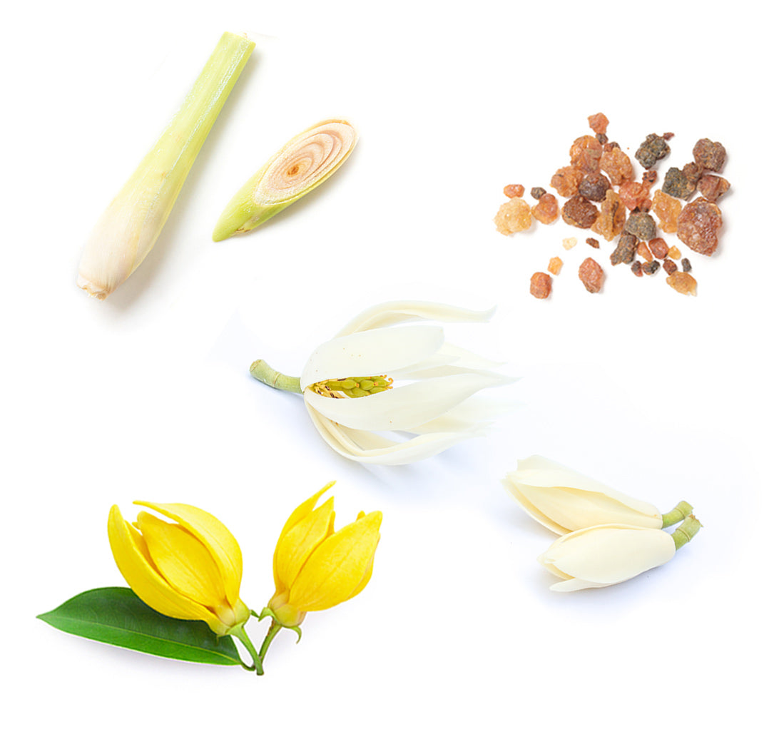 dōTERRA™ sun ásványi fényvédő spray testre extra info doterra