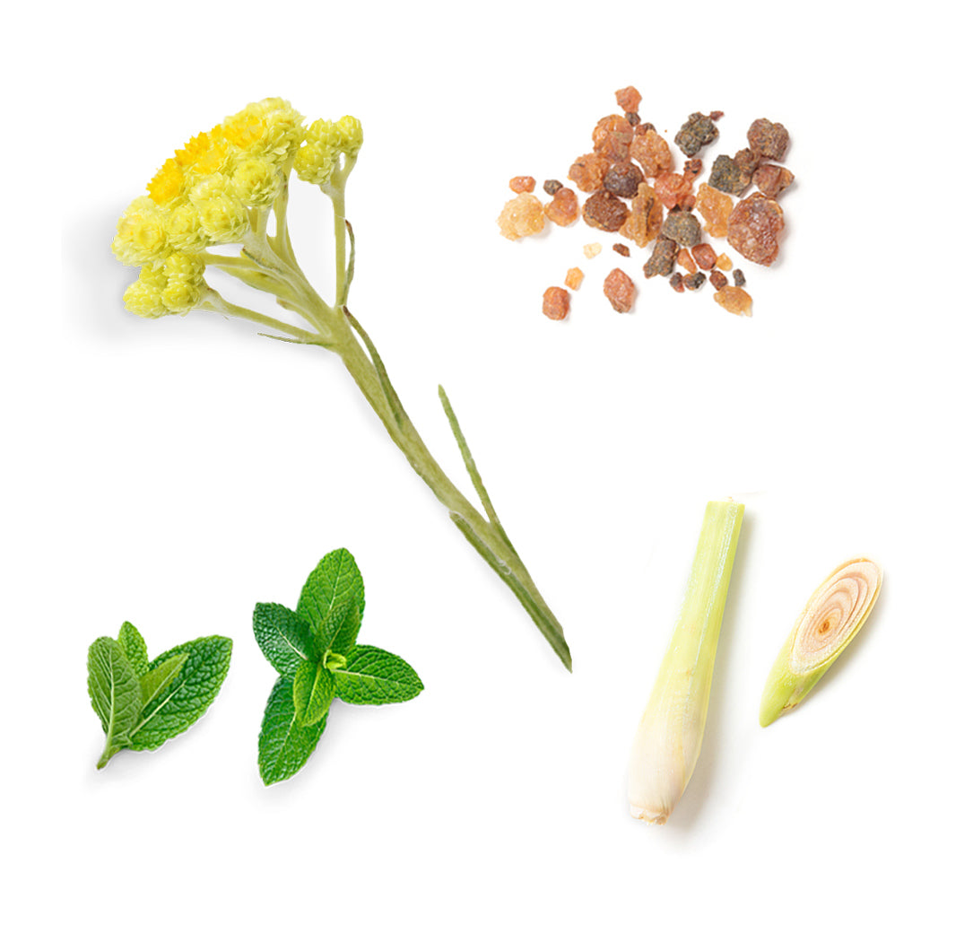 dōTERRA™ sun ajakbalzsam extra info doterra