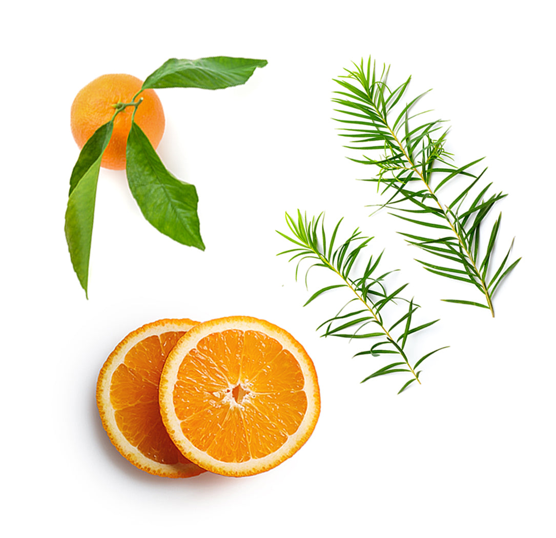 Veráge™ arctisztító extra info doterra