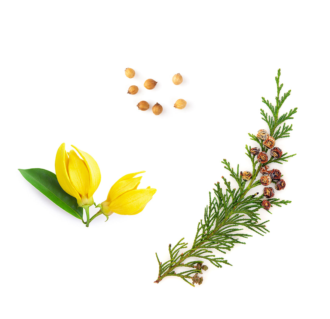 Veráge™ tonizáló extra info doterra