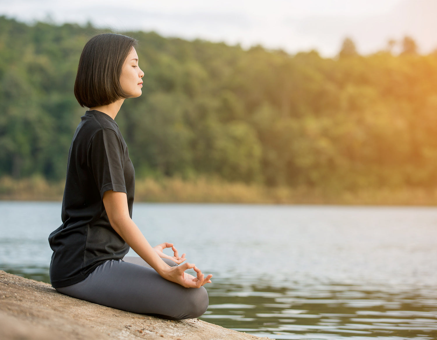 dōTERRA Balance™ how to use doterra