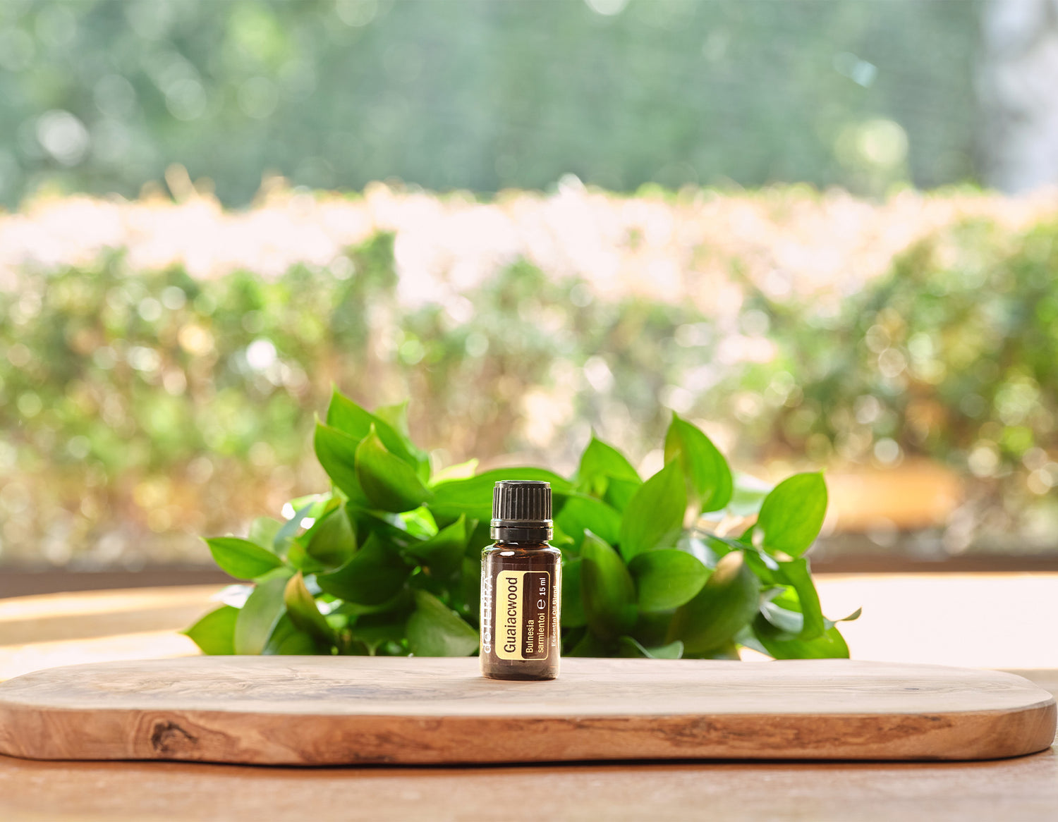 Guajakfa how to use doterra