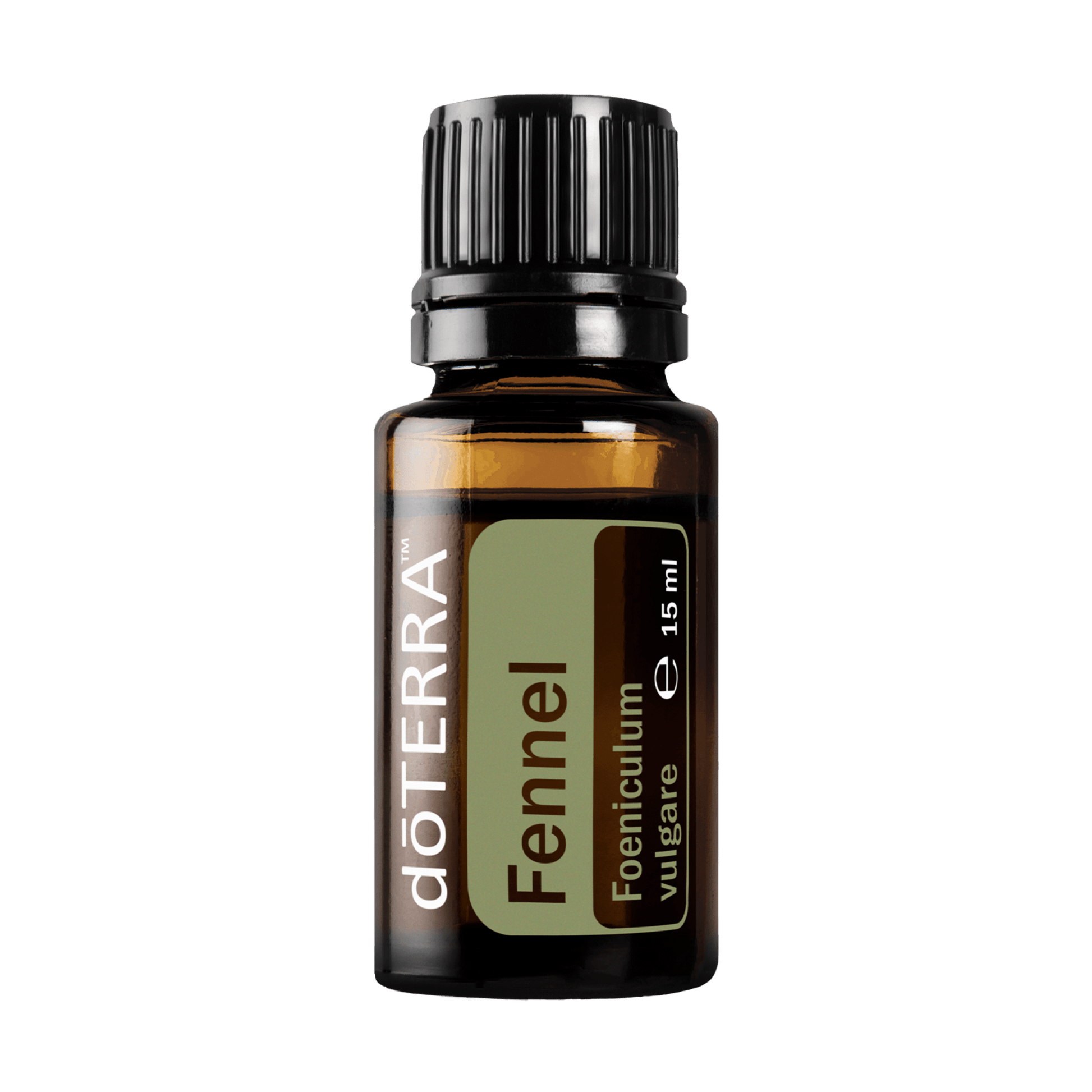 Fennel (Édeskömény)