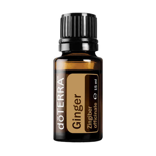 Gyömbér
